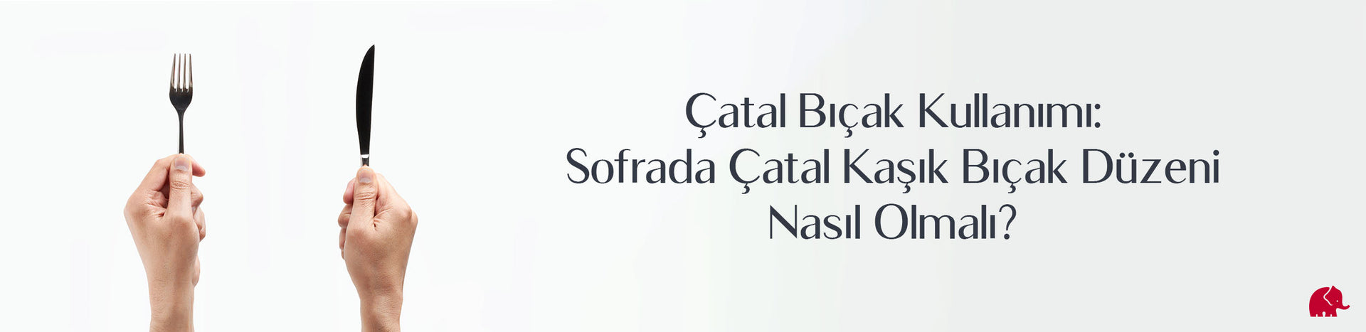 Çatal Bıçak Kullanımı: Sofrada Çatal Kaşık Bıçak Düzeni Nasıl Olmalı?